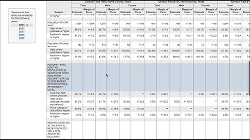 Mapping US Census Tracts with web-GIS