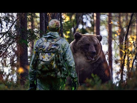 Вопрос: Если вдруг, вы встретились в лесу с медведем. Ваши действия?