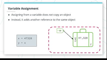 Interrogating Python Data - Python Variables