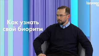 Сова, голубь, жаворонок? Врач-невролог о биоритмах человека.