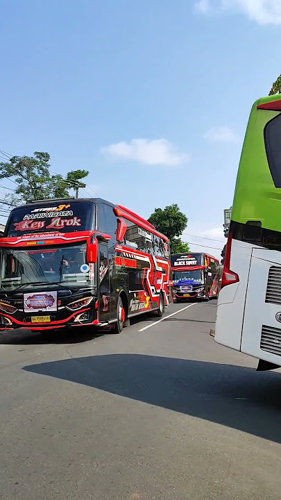 Perang Telolet Bus Eka Persada Ken Arok dengan Jurus Elang Amny dan Hafiz Trans Black Sweet #basuri