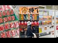 Tokyo vlog  ep02  fuji mountain shibuya cherry blossoms muji japan makeup shopping vlog 