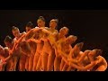 Детский театр танца показал современный балет «Маленький принц» в Краснодаре