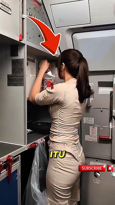 The flight attendant is so pretty and kind‼️#shorts #shortvideo #fyp