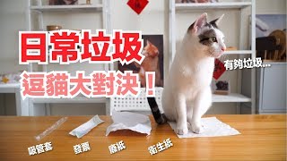 貓最愛垃圾第一名竟然是【好味貓日常】EP42