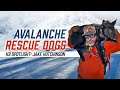 Jake Hutchinson: Avalanche Rescue Dogs - K9 Spotlight