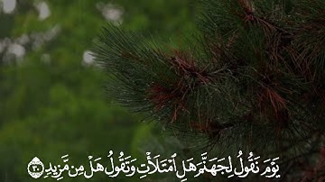 تلاوة هادئة جميلة تفوق الوصف🍂 ﴿ادْخُلُوهَا بِسَلامٍ ذَلِكَ يَوْمُ الْخُلُودِ﴾