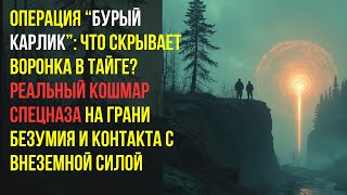 видео: Тайна сибирской воронки: как элитные разведчики выжили в смертельной аномалии, где исчезают люди.... картинка: Тайна сибирской воронки: как элитные разведчики выжили в смертельной аномалии, где исчезают люди....