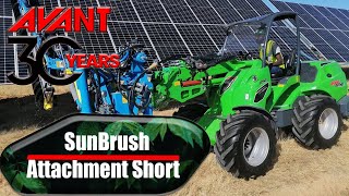 SunBrush #shorts