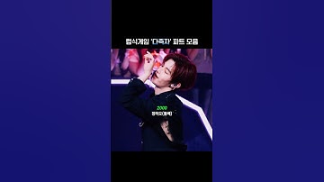 섹시곡 형라인 vs 동생라인