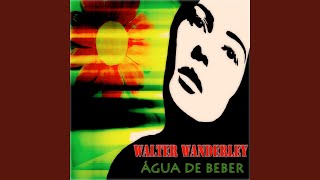 Video voorbeeld van "Walter Wanderley - Água de Beber"