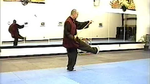 American Shaolin Wudan Jerry Cook 32 Spear Set