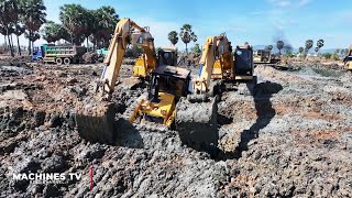 EP6 What Efficiency Process Backfill 100 Trucks VS 2 Bulldozer KOMATSU D60P and 4 Excavator CAT320D