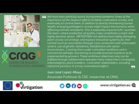 Meet the VIRTIGATION team: Juan José Lopez-Moya, Associate professor & researcher, CRAG Meet the VIRTIGATION team: Juan José Lopez-Moya, Associate professor & researcher, CRAG