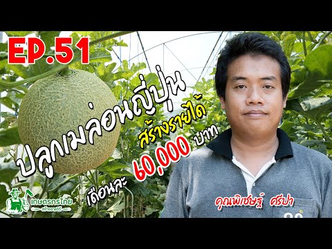 เกษตรกรไทย สร้างรายได้ l Ep51 ตอน ปลูกเมล่อนญี่ปุ่น สร้างรายได้ เดือนละ 60,000 บาท
