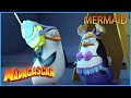 DreamWorks Madagascar | Look! A Penguin Mermaid! | Penguins of Madagascar Clip