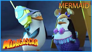 DreamWorks Madagascar | Look! A Penguin Mermaid! | Penguins of Madagascar Clip
