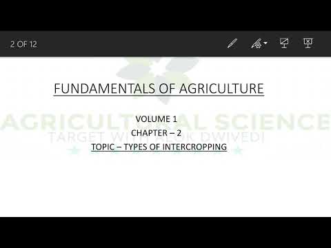 Video: Hvad er eksemplerne på intercropping?