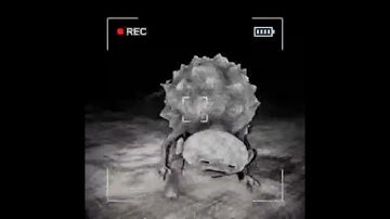 interviewing monsters in content warning