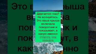 Просто ШУТКИ #приколы #шутки #анекдоты #юмор #смех #ржака