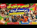 دیسی مرغی فارم 2026 | انڈے اور گوشت سے ڈبل منافع