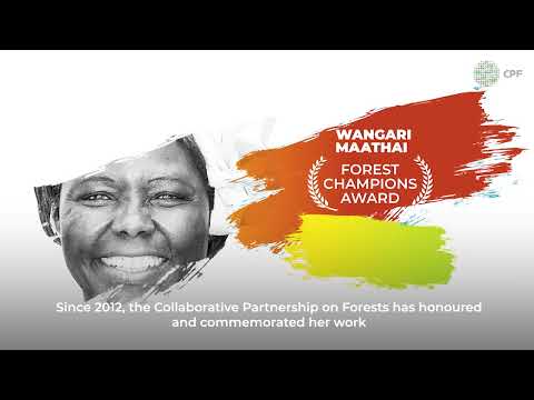 Video: Wangari maathai dünyanı necə dəyişdi?