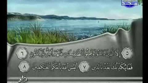 سورة التين بصوت الشيخ فارس عباد Surat At Tin