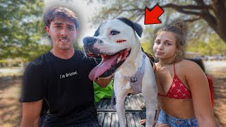 We had to make a decision... (the abandoned puppy)