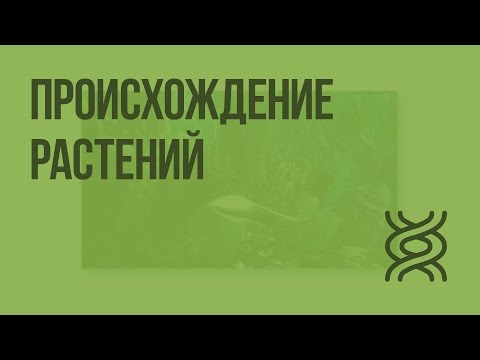 Происхождение растений. Основные этапы развития растительного мира. Видеоурок по биологии 5 класс