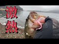 【バス釣り】ジャークマジック恐るべし