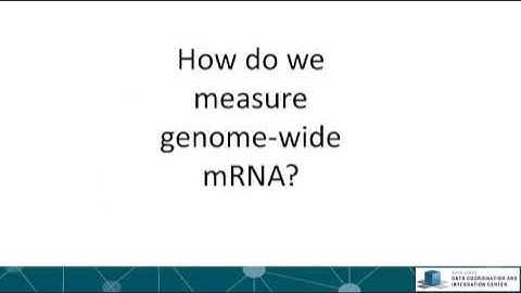 Lecture 2 - The Connectivity Map