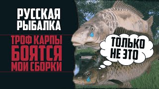 ТРОФЕЙНЫЙ КАРПФИШИНГ | Держите Меня Семеро | Янтарное Озеро 🔴 Русская Рыбалка 4