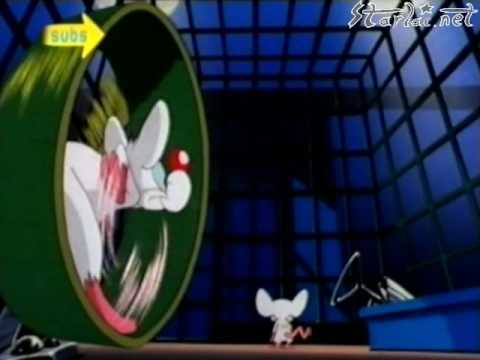 Pinky and the Brain - Intro Theme (closed captions)