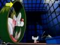 Pinky and the brain  intro theme closed captions