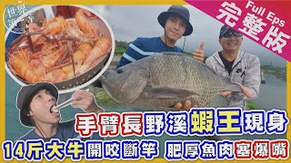 【花蓮】FUN野趣吳郭魚一尾14斤? 釣竿墳場/比手粗過山蝦/狼牙棒藤心/阿美古法漁獵石頭火鍋/磯崎溯溪瀑布當泰山《世界第一等》1035集完整版Full EP.1035 Engsub