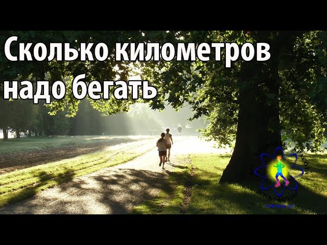 Автомобиль едет со скоростью 60 км/ч. Сколько в день нужно ходить пешком. Нужный километр. Нужный километр. Квк найти скорость растояние время.
