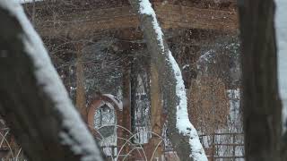 Ben Gene Sana Vurgunum - Nükhet Duru