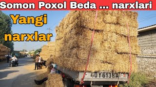 2023 Somon Poxol Beda O't Paya narxlari |  Farg'ona Buvayda Yangiqo'rg'on somon bozor narxlari