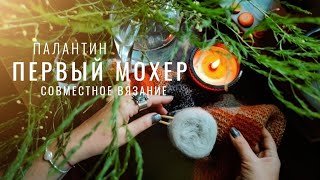 №81 Палантин из мохера, лучшая пудра, файл для рисования схем, кольцо с древней монетой