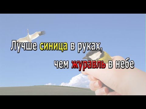 Лучше синица в руках, чем журавль в небе