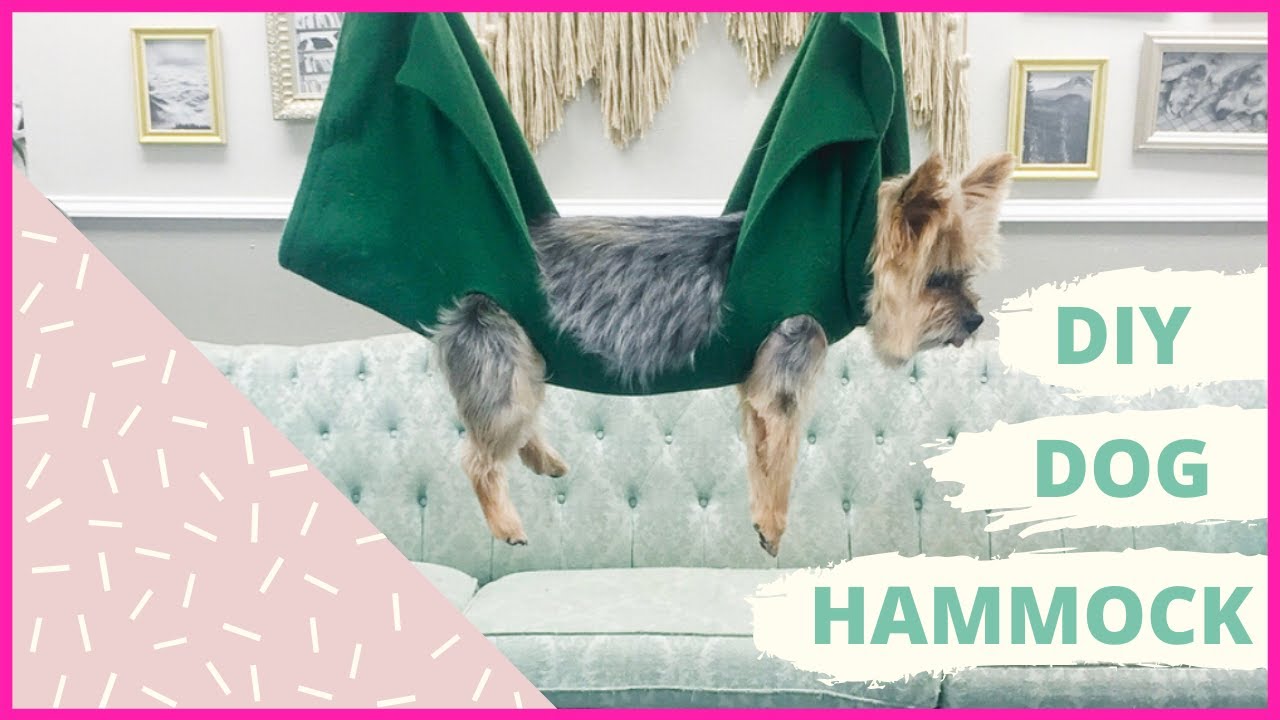 What To Know About Dog Hammocks