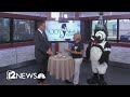 Odysea Aquarium holds summer-long 10th birthday bash