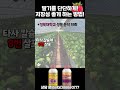 딸기를 단단하게! 저장성 좋게 하는 방법!
