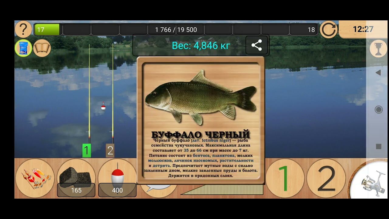 Буффало чёрный