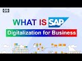 What is SAP???