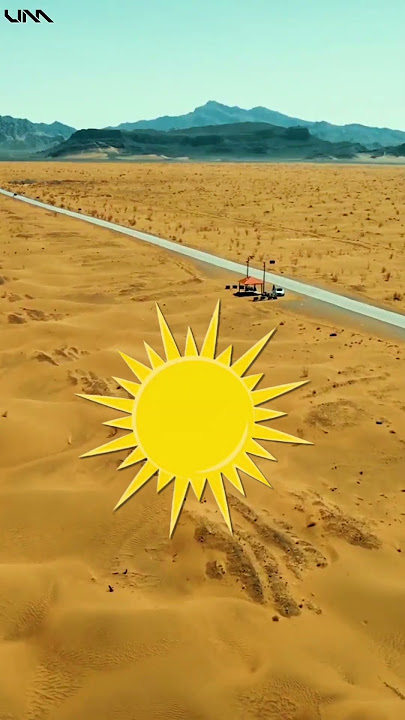 Qatar is Turning Green: Surprising Tree Planting Progress!
