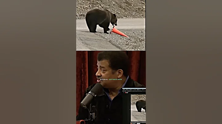SMARTEST Bear SHOCKS Neil deGrasse Tyson