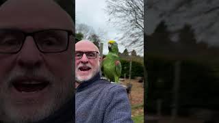 Download Lagu Bed Time 🤣 #sid #parrot #funny #fun #love #happy MP3