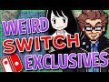 Weird Nintendo Switch Exclusives - Austin Eruption