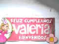 Banner de Bienvenida Princesa